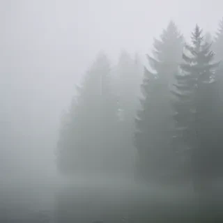 foggy background