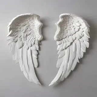 picture of angel wings
