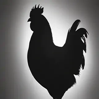 silhouette of a chicken