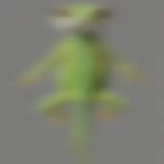 lizard transparent