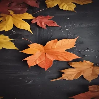 fall wallpaper for iphone