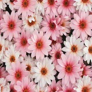 asthetic flower wallpaper