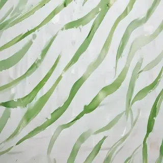 background white and green