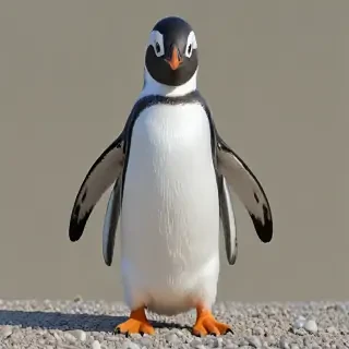 penguin png