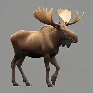 moose png
