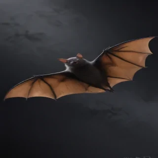 bat halloween pictures