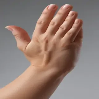 praying hand png