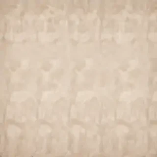 neutral computer background