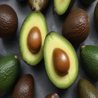 avocado drawing