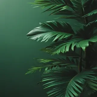 green backgrounds aesthetic
