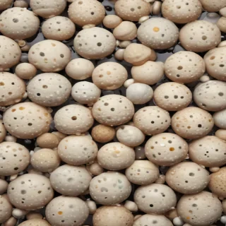 poka dots background