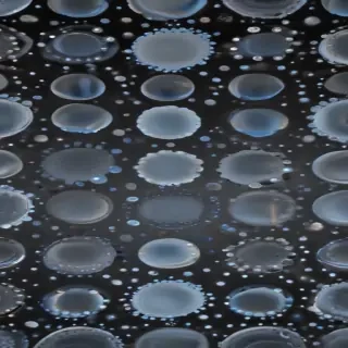 polka dots transparent