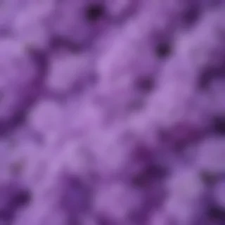 lilac background