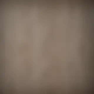canvas texture overlay
