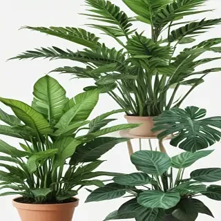 aesthetic plants png