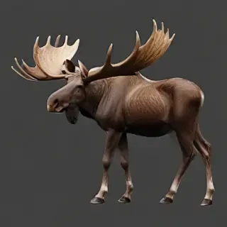 moose png