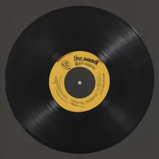 vynil record png