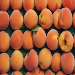 peach background aesthetic