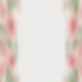 transparent flower border