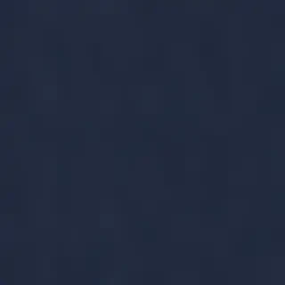 navy blue bg