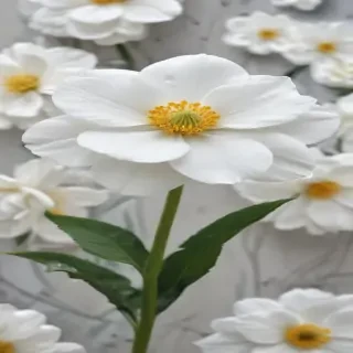 background white flower