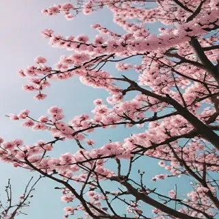 spring aesthetic desktop wallpaper