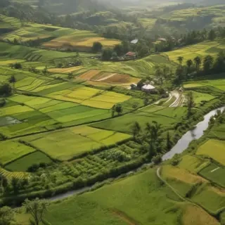 farmland png