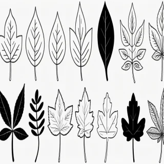 leaves clip art black and white