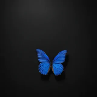 black background blue