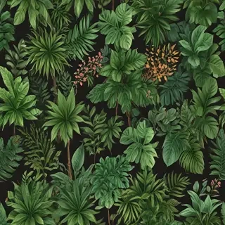 plants no background