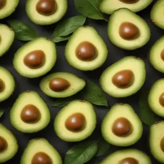 avocado background