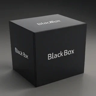 black box image