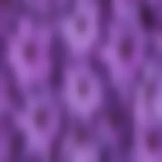 purple flowers background