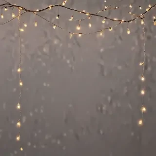 fairy lights png