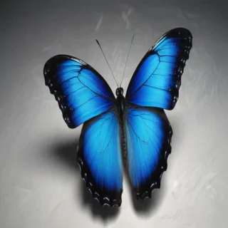 aesthetic blue butterfly