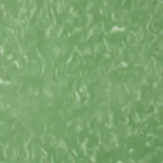 green white background