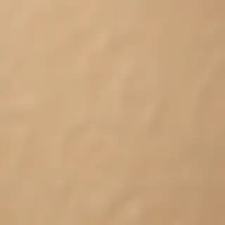 craft paper texture