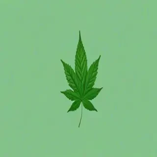 aesthetic green wallpapers