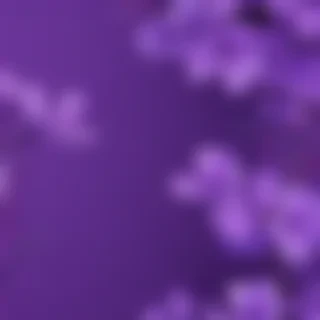 purple background cute