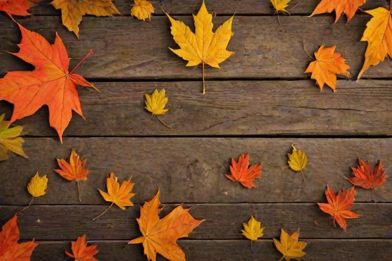 autumn background iphone