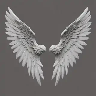angel wings png transparent