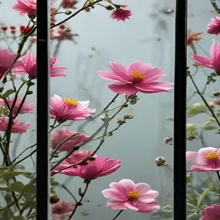 flowers behind glass wallpaper