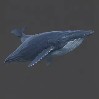 blue whale png