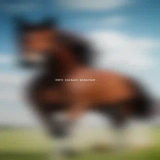 horse wallpaper