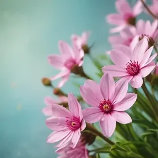 spring iphone wallpaper