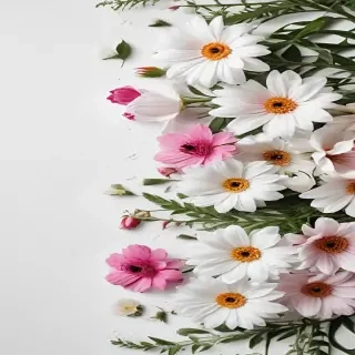 white background with flowers