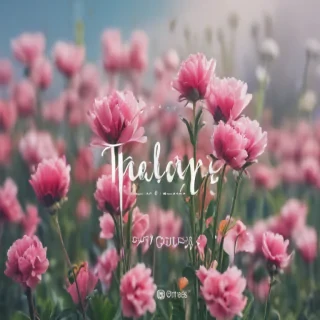 hello may images