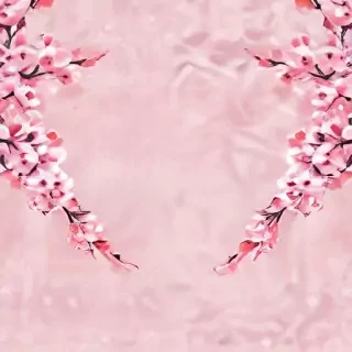 sakura background