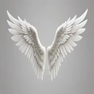 angel wings transparent background