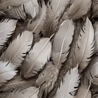 feather background